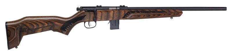 SAV 93R17 MIN 17HMR BRN 18 10 - Taurus Savings